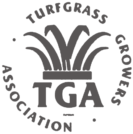Turfgrass