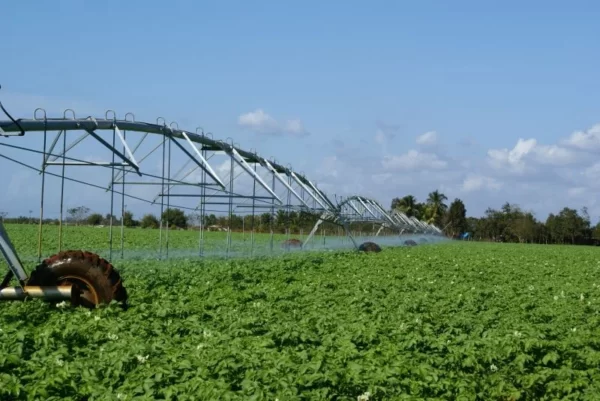 Irriland Pivot Irrigators
