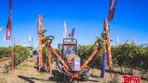 BFM CM-SD Pruning Machine