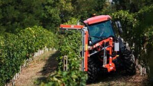 BFM CM-SN Pruning Machine