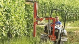 BFM CM-S Pruning Machine